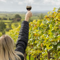 The Insider's Guide to Wine from Wineries