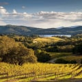 The Truth About Wine Tasting in Napa Valley