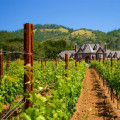 The Best Local Winery and Vineyard in California for Stunning Views and Exceptional Wines