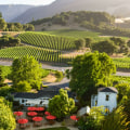 The Top Wineries in the US: A Wine Expert's Perspective