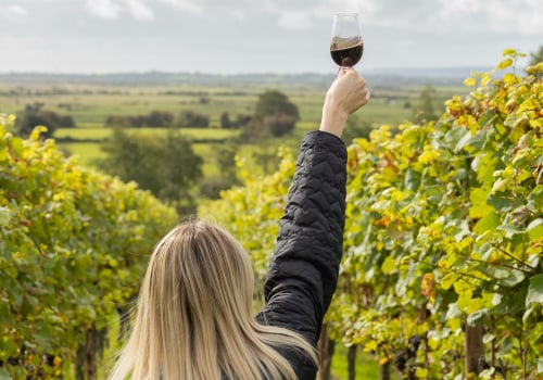 The Insider's Guide to Wine from Wineries