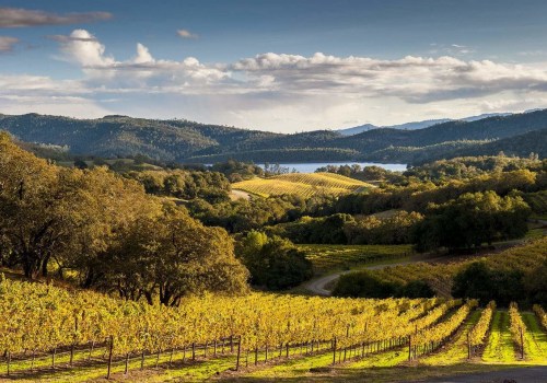 The Truth About Wine Tasting in Napa Valley