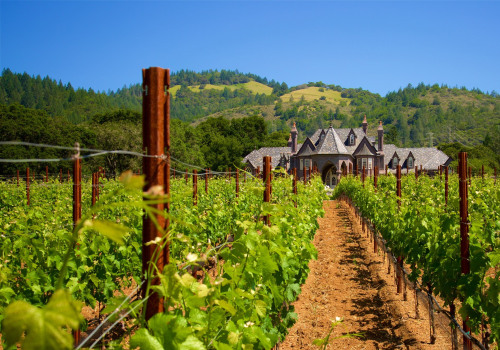 The Best Local Winery and Vineyard in California for Stunning Views and Exceptional Wines