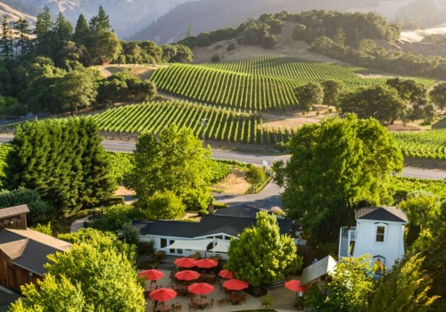 The Top Wineries in the US: A Wine Expert's Perspective