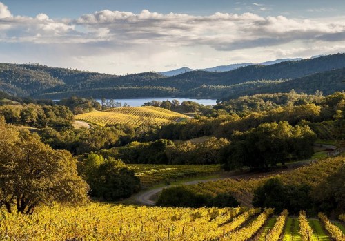 Exploring Napa's Wineries: A Guide to Planning Your Visit