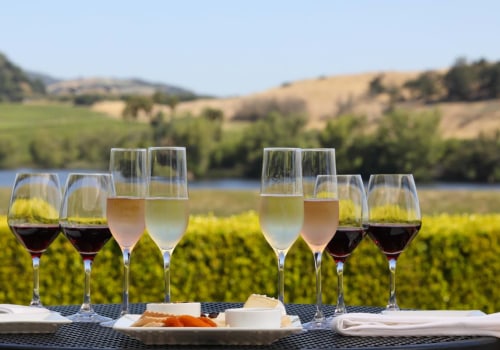 The Truth Behind Napa Valley Wines: Debunking the Expensive Myth